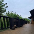 새들펜션민박 이미지