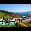 서울특별시 용산역 Daum카페