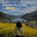 초원목장 | 전남 구례 가볼만한곳 지리산 치즈랜드 주말 방문 후기 애견동반여행 추천
