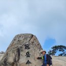 염포산철탑삼거리화장실 | 관악산 (암반계곡-관악산정상-모정의바위-도림천계곡) 산행후기
