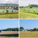 낙동강체육공원 농구장 이미지