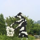 동갑목장 이미지