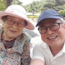 부산추모공원 이미지