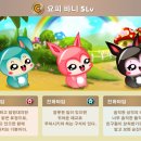 푸리바바 이미지