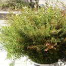 엑스포로2(동) 이미지