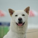 달아실 농원 네이버블로그