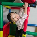 신호마트 | 23개월 아기 배변훈련 시작 시기｜기저귀 떼기 신호 + 훈육 + 언어발달 후기
