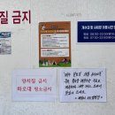 패밀리애견 이미지