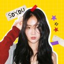소유