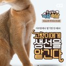 합기도 검무관 이미지