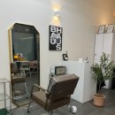 우디헤어 이미지