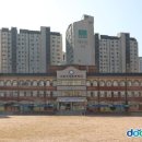 길음단설유치원 네이버블로그