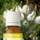 스위스아로마 나린 이미지