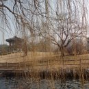 석교주유소 이미지