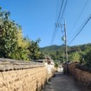 솔나무안집 이미지