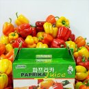 정영식농장 이미지