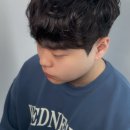 살롱드 댕댕 네이버블로그