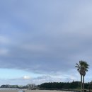 푸른정비서비스 | 제주 해비치 호텔&amp;리조트 표선 숙박 후기｜가족여행 숙소로 왜 유명할까?