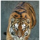 바람이지나간자리 이미지