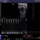 늘사랑 양한방 동물병원 이미지
