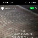 담해랑 이미지