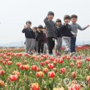 송이모텔 연합뉴스