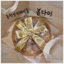 다미 - 중구 태화동 | ​[춘천 떡집] 어른들이 좋아할 춘천상견례선물 '봄다미' 바람떡 세트 솔직후기!