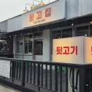 뒷고집