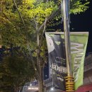 2025년 오리지널 플라잉 뮤지컬 <피터팬> | [부산/공연후기] 위키드 부산 첫공 후기(WICKED The Musical)/위키드 줄거리/1층 6열 VIP석 후기