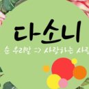 다소니토퍼