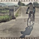 여주-0828 이미지