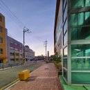 곰 체육관 이미지