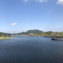 세종청사공인번역행정사사무소 이미지