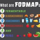 탄수화물 독성의 또 다른 개념 FODMAPs 통시적 연구!! 이미지