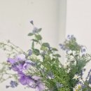 (주)위캔케어 네이버블로그