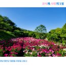 작약정원