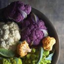 싱싱푸드 이미지