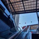 유림-1151 이미지