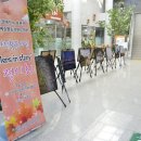 제주장애인문화예술센터 이미지