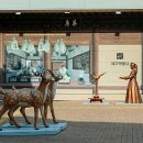 약령시한의약박물관 이미지