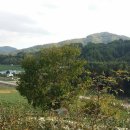 텃밭공인중개사사무소 이미지