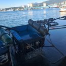 묵호어판장 이미지