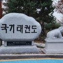 한양대 21세기태권도 이미지