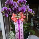 경화스님: 박사학위 취득 ㅡ 대단하신 수행하셨습니다 이미지