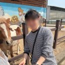 서호 | 26년 3월