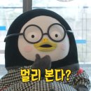 AS 플러스안경 이미지