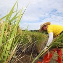 신곡축산 이미지