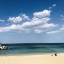 강릉게스트하우스(중앙점) 이미지