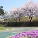 일신자동차운전전문학원