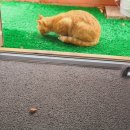 성포농장 이미지